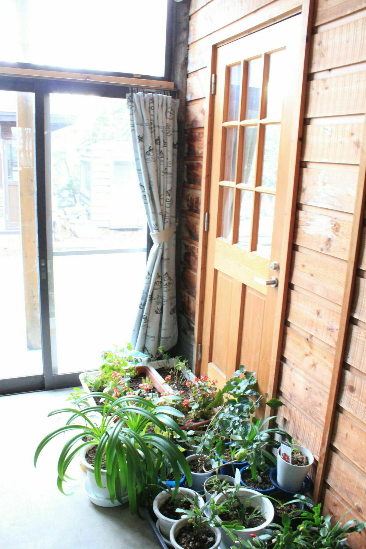 Cottage Yuyu Фурано Екстер'єр фото